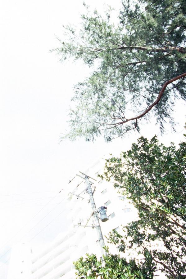 国语版在线观看免费-2160P高清字幕版在线播放