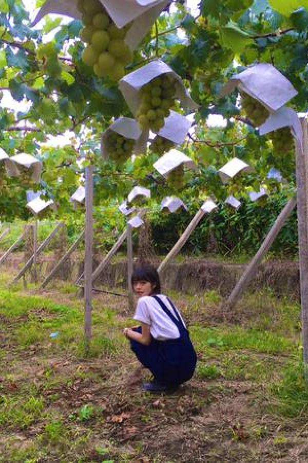 手机在线观看876AV影片-中文字幕国产精品-流了这么多还嘴硬这是在车上-1440P高清完整版