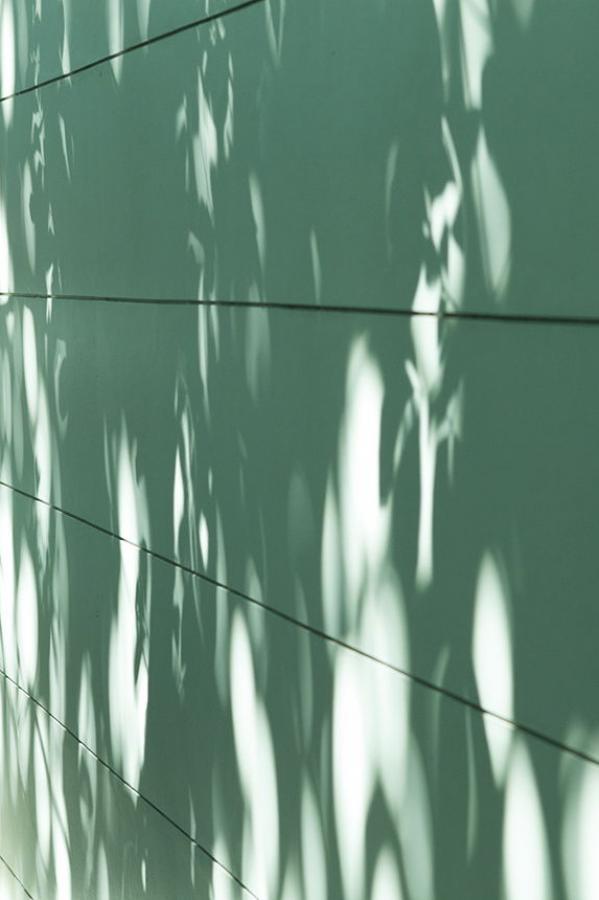 亚洲国产AⅤ精品一区二区99-QHD高清字幕版在线播放