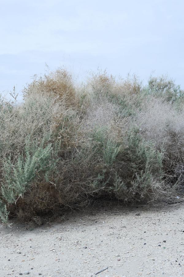 人妻夜夜爽天天爽三区麻豆AV黑-油条漫画在线观看-Full HD在线观看