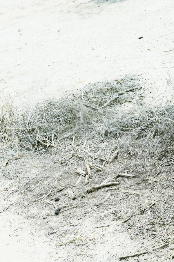 免费的色直播视频-Ultra HD琪琪电影网