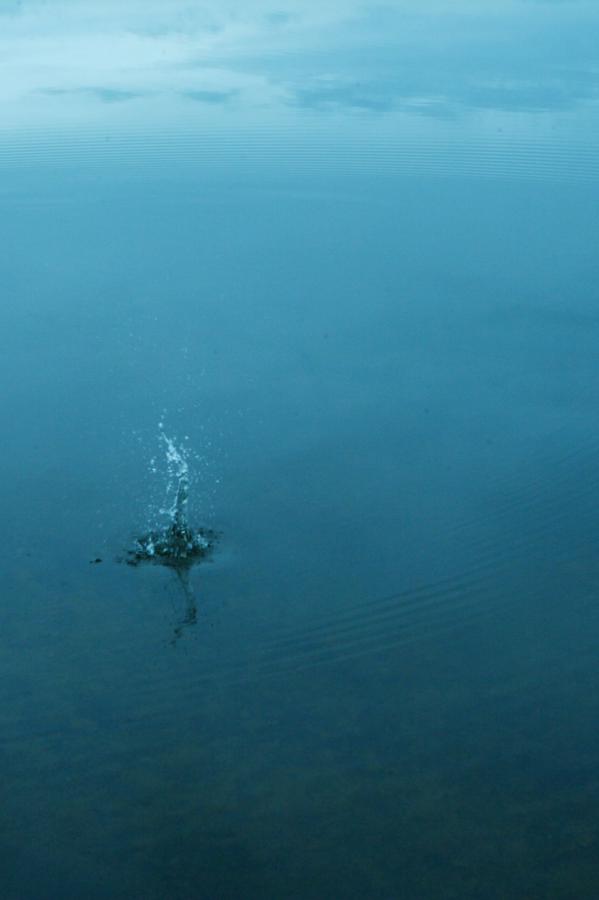 亚洲套路清纯唯美国产-蜜臀久久99精品久久久久久小说-1440P日本成人在线