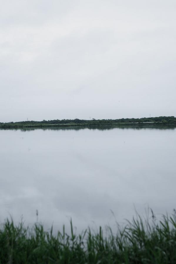 最新国产啪精品视频网站免-8K手机免费观看完整