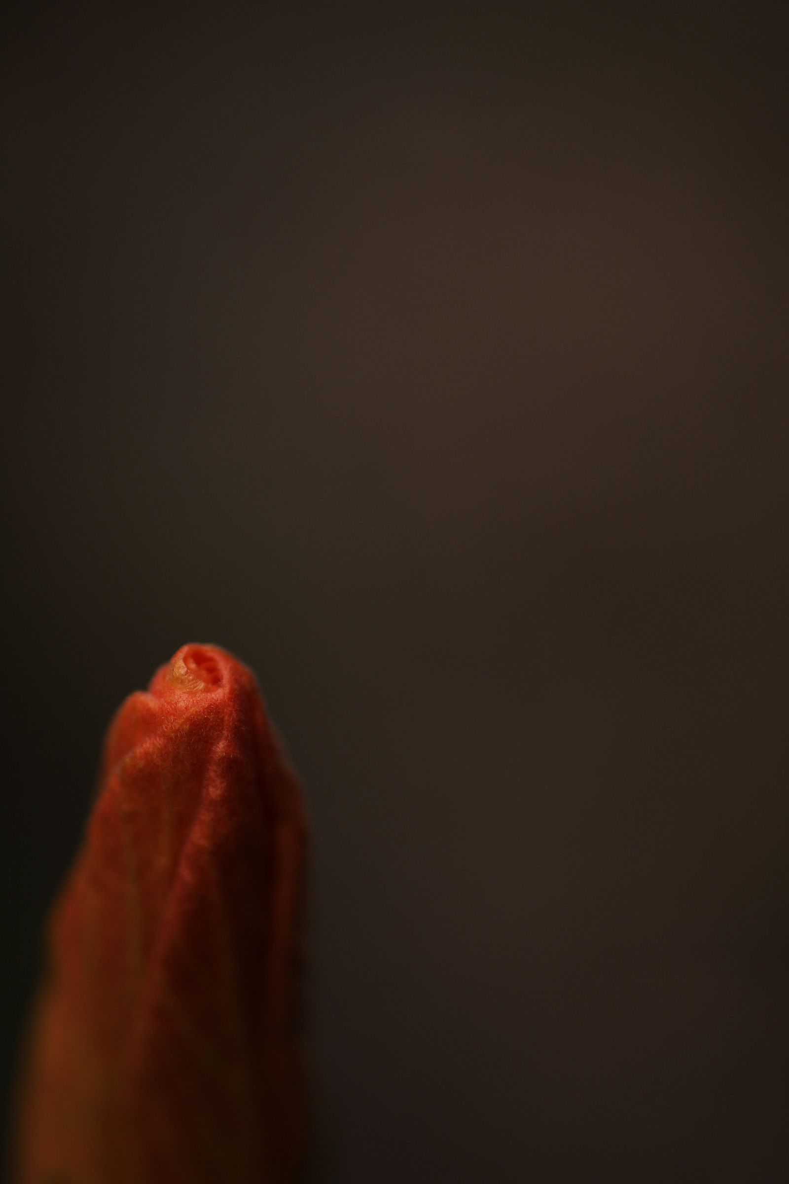 主页你想要的最新版合集都有-精品久久久国产一区二区色婷婷-1080P免费电视剧