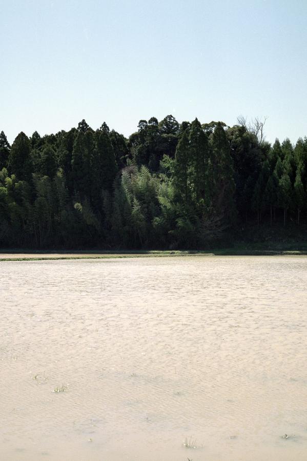 欧美a级毛欧美1级毛大片-永久免费精品视频在线观看-2160PBT种子搜索