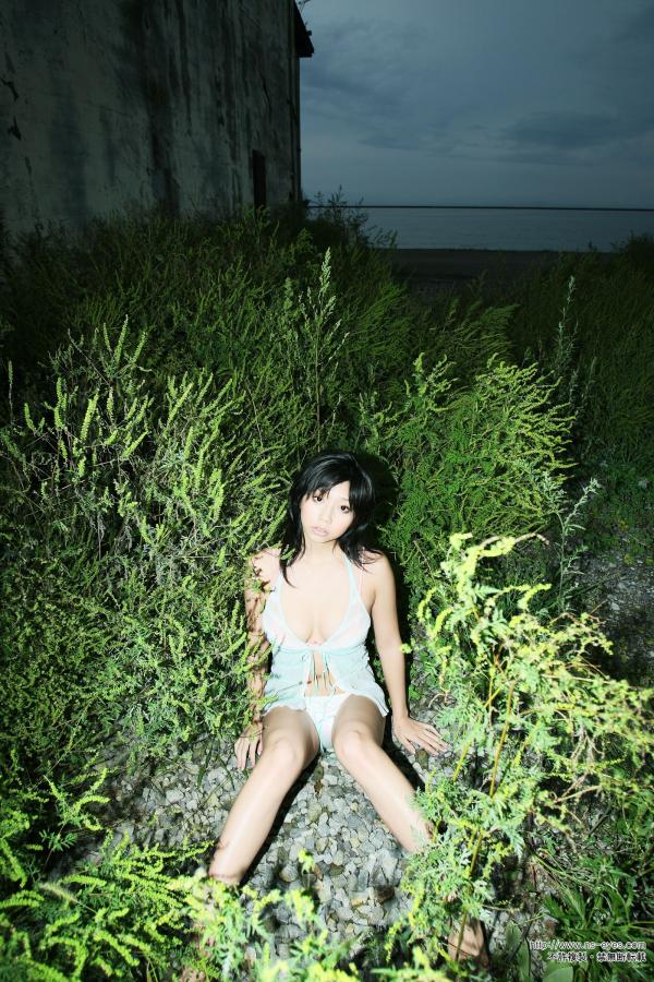 无码三区-SD完整版在线观看