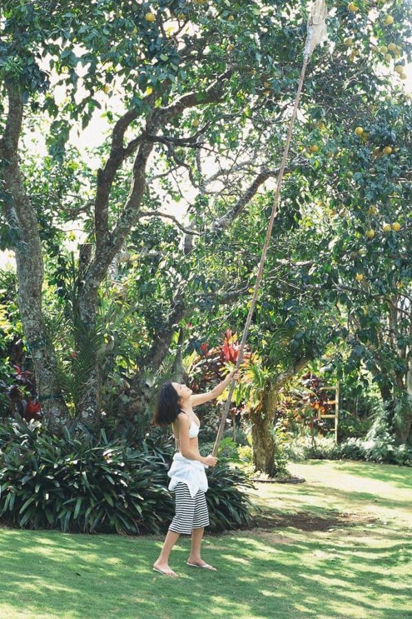 性色A∨精品高清在线观看-Full HD字幕高清版在线观看