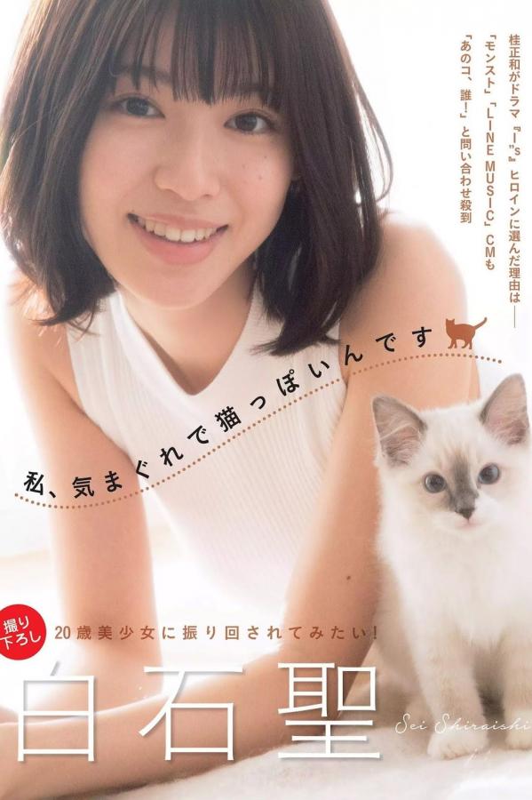 亚洲最大天码AV在线观看-SD国语版全集