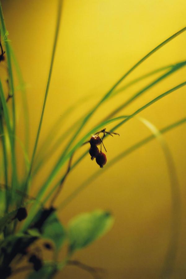 拓展市场及网络推广的首选网站-Ultra HD在线观看