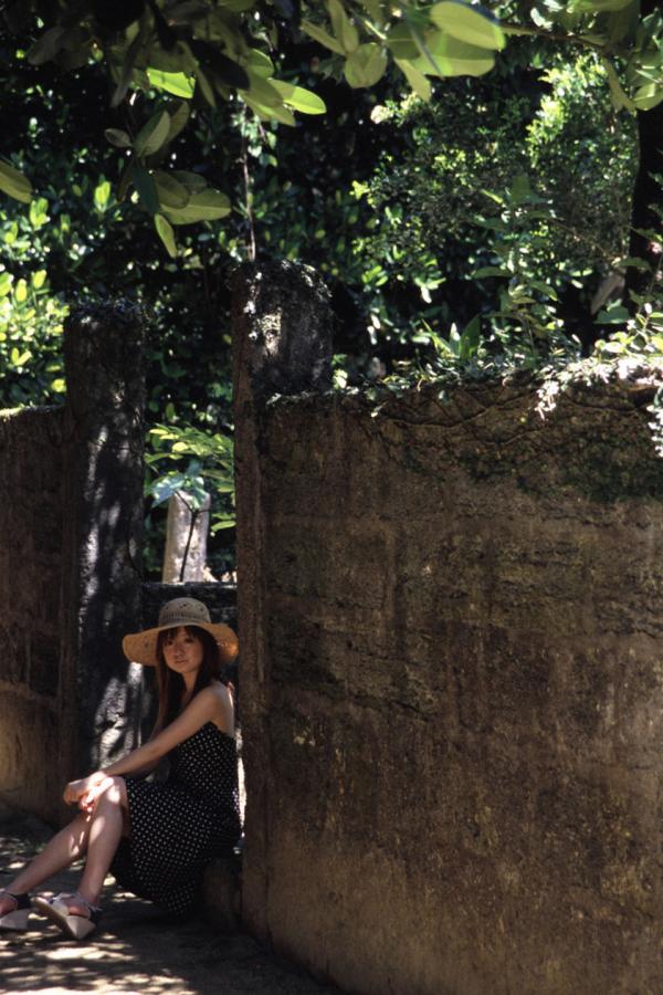 曰批视频免费播放-午夜精品视频在线观看每天将为您更新亚洲欧美黄色在线-SD免费观看视频