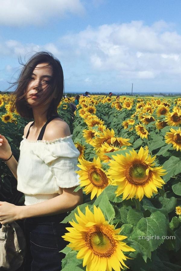 AV片永久免费软件-久久久国产成人精品蜜臀AⅤ-色导色导航-720P动漫免费观看