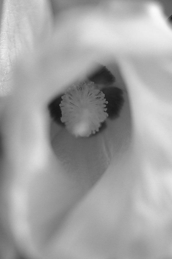 久久综合香蕉国产蜜臀AV-成人精品国产亚洲-标清在线天堂新版