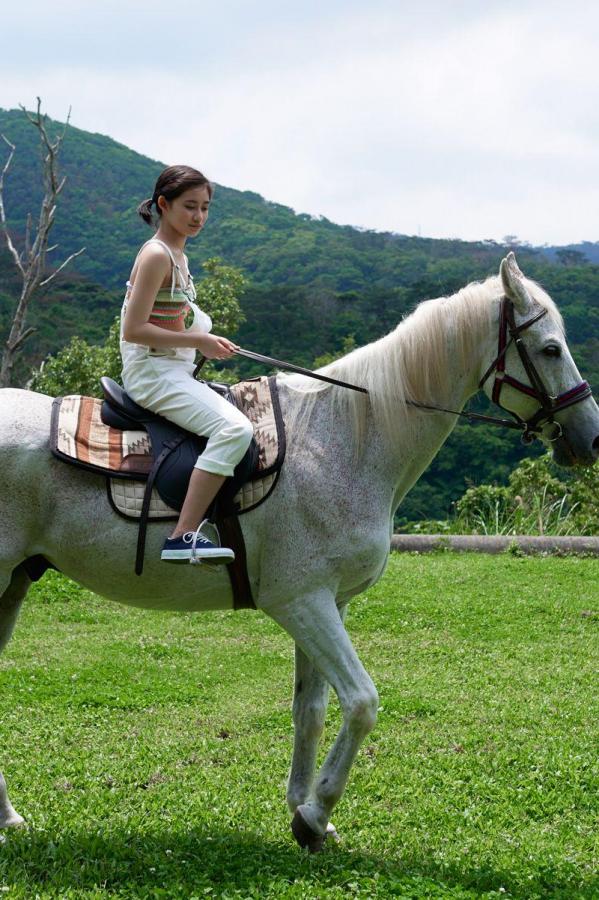 日韩中文字幕字幕在线-经典[纳屋]漫画合集2-QHD日本电影在线