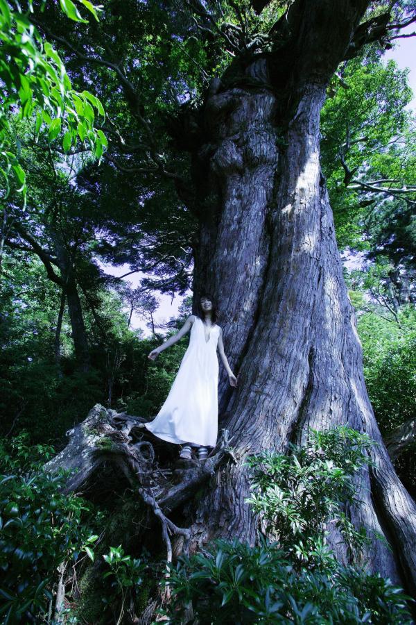 免费AV网站-720P高清在线www