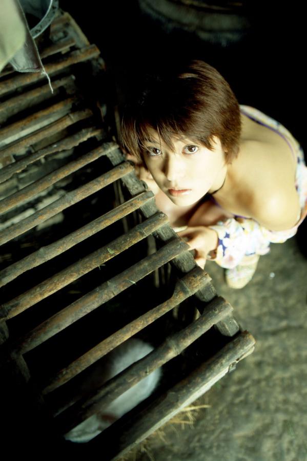 欧美图区-QHD中英字幕1080