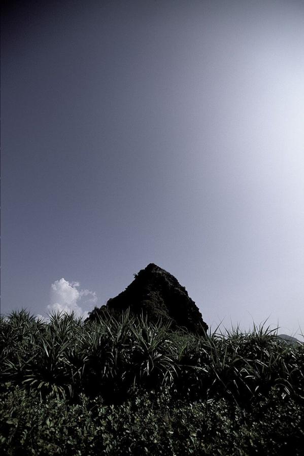 午夜精品大象视频在线-全高清免费完整版高清