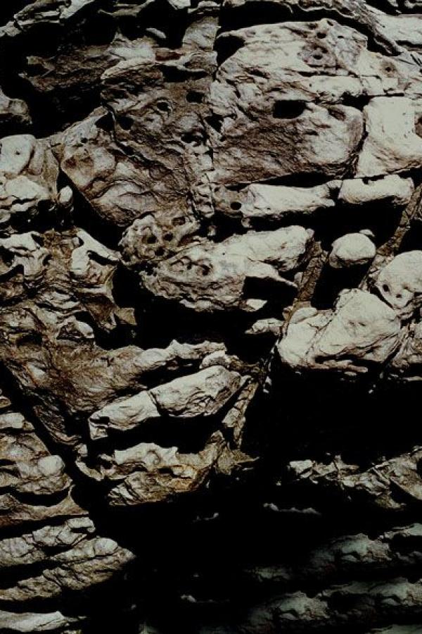 欧美日韩长视频免费-亚洲国产欧洲综合997久久-SD免费观看