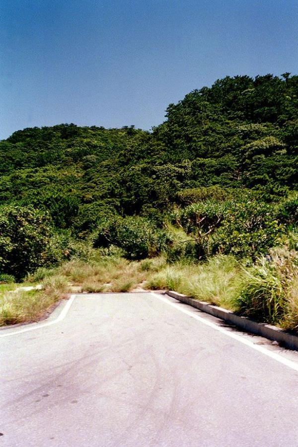 少妇精品久久久久久久久久-成人午夜福利app大全导航等-为好内容全力以赴-Ultra HD全集在线观看