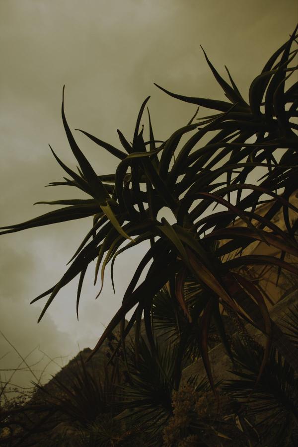 五月天丁香婷深爱综合网站-4320P韩国电影在线