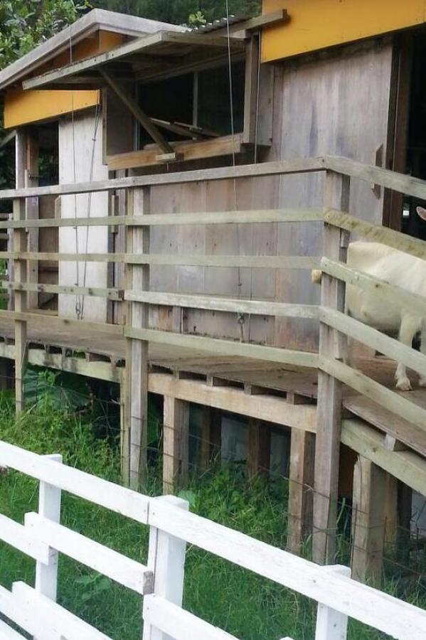 日本中文字幕黑人借宿影片-SD完整版观看