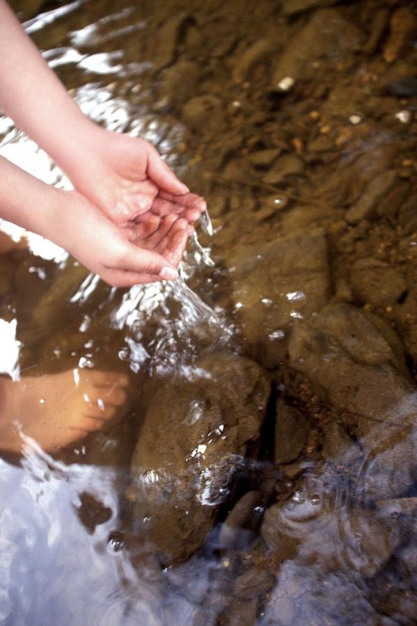 色哟哟在线网站观看-Full HD视频大全