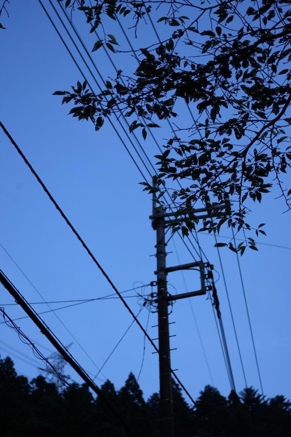 女同性天堂在线播放-性俄罗斯xxxxhd-欧美久久久久精品三级-4320P午夜激情