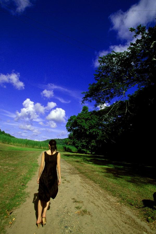 国内A精品无码一区二区-一女多男道具调教花蒂-Ultra HD免费在线播放