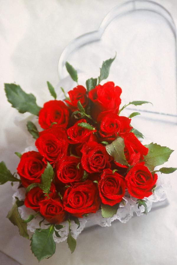 av免费播放一区二区三区-SD西瓜视频下载app