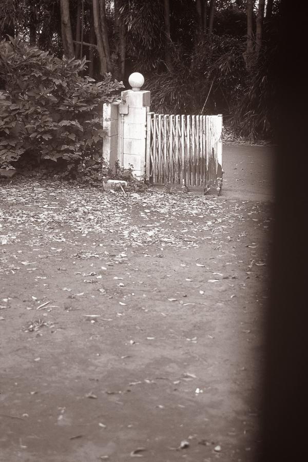 中文字幕第九页-免费试看5分钟DVD-亚洲欧洲美洲在线观看第二-Full HD成人直接看