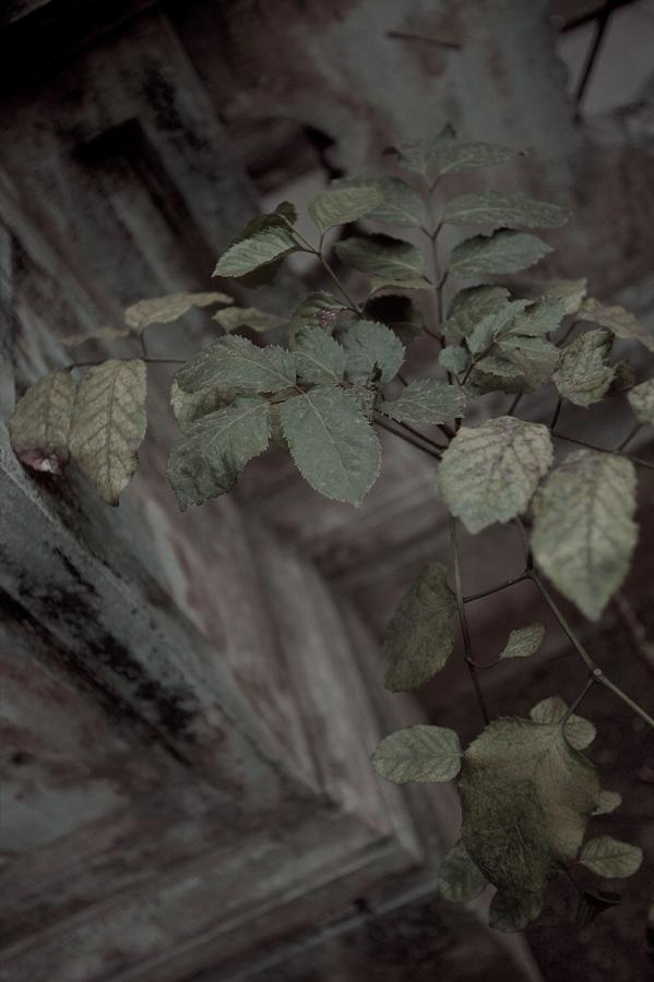 久久精品视屏-1440P天堂资源最新版