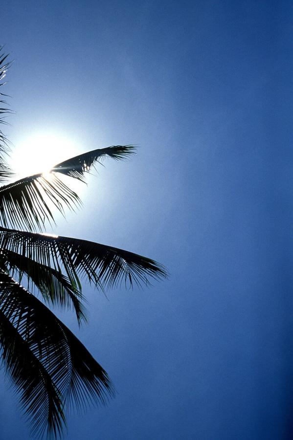 久久久久久久久国性色-精品久久免费一区二区三区四区-Quad HDBT种子搜索