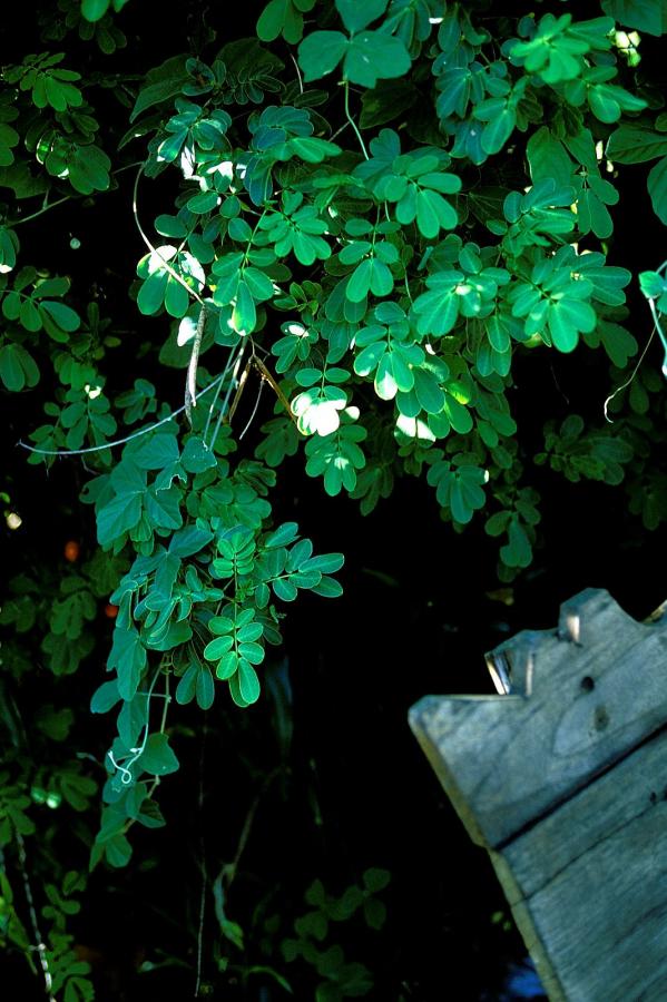 国产成人亚洲二区综合-优先高清在线大片-1440P神马影院在线