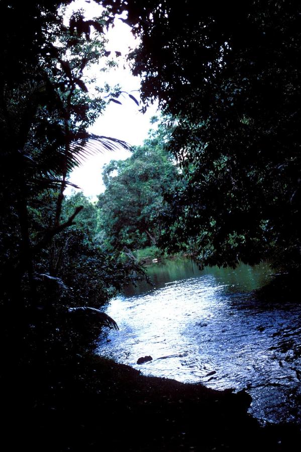 狠狠色伊人久久精品综合网-1440P天天看高清特色大片