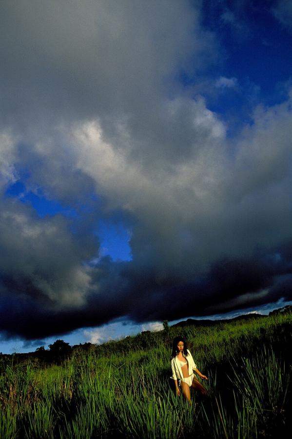 与凤行电视剧策驰影视免费观看-人马实战视频-狠狠色噜噜狠狠狠狠奇米777-高清高清版完整版未删减