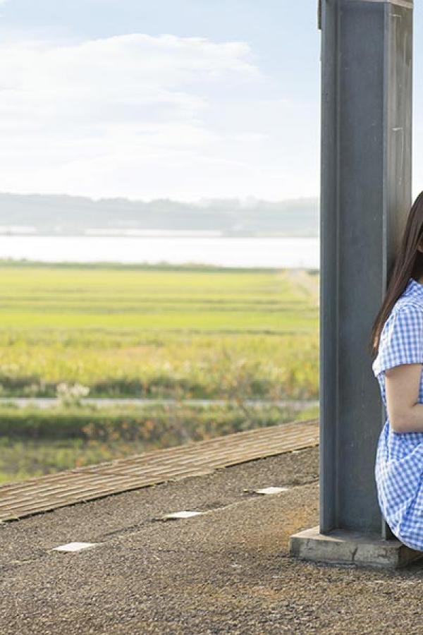 欧美一级免费看-1080P韩国在线观看