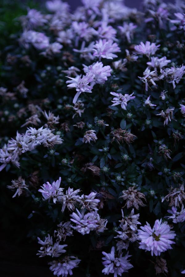 日本里番库全彩本子彩色h-高清电影在线看-在线成人www免费观看视频-720P在线观看完整视频大全