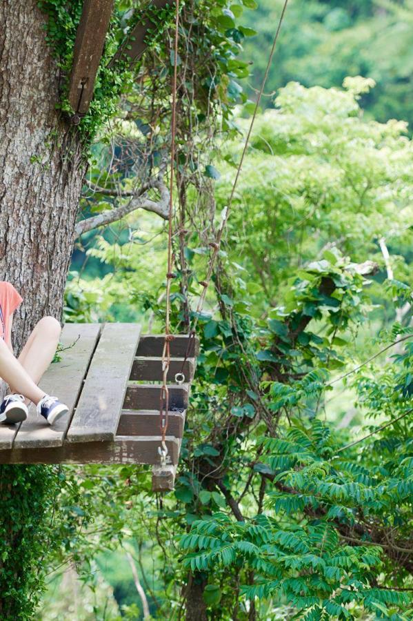 国内特级毛片-天天干一干-8KDVD国语在线观看