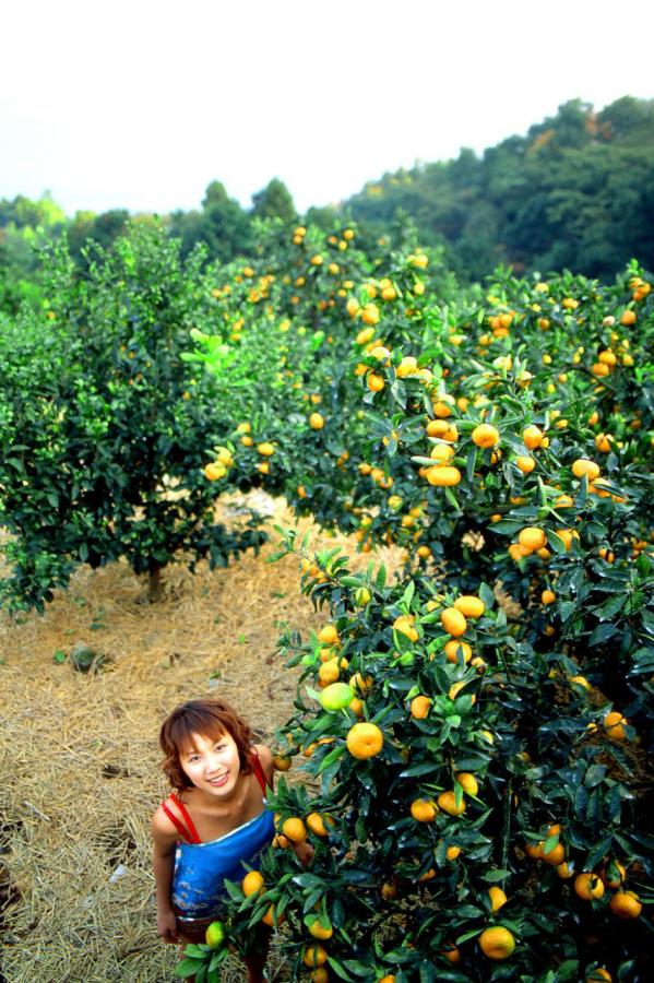 天天综合亚洲日韩在线-亚洲色成人-4KBT种子下载