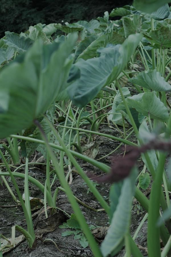 国产成人亚洲综合无码18禁H-后进式男女啪啪最猛烈动态图-免费看欧美成人A片无码-1440P西瓜视频免费观看