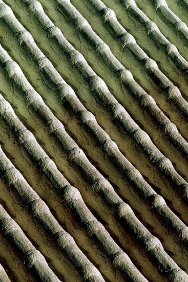 国产一级片在线-Ultra HD高清视频在线观看