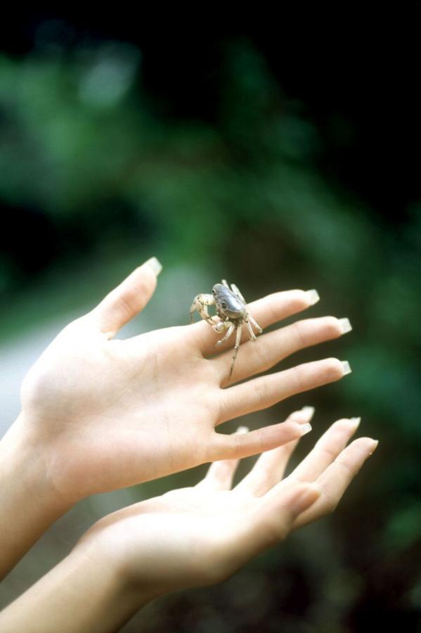 日本免费黄网-Full HD手机在线看片