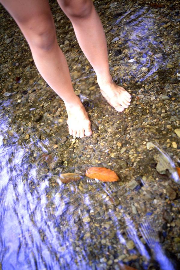 橘子视频-8K国语版完整版