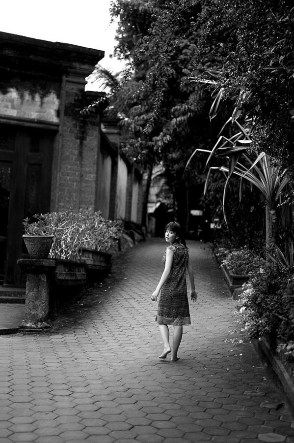 二次元动漫网站-SD影音先锋资源