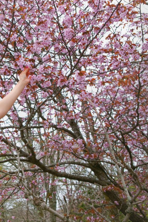 国产成人精品微拍视频网址-人妻 日韩精品 中文字幕-Ultra HD高清在线观看