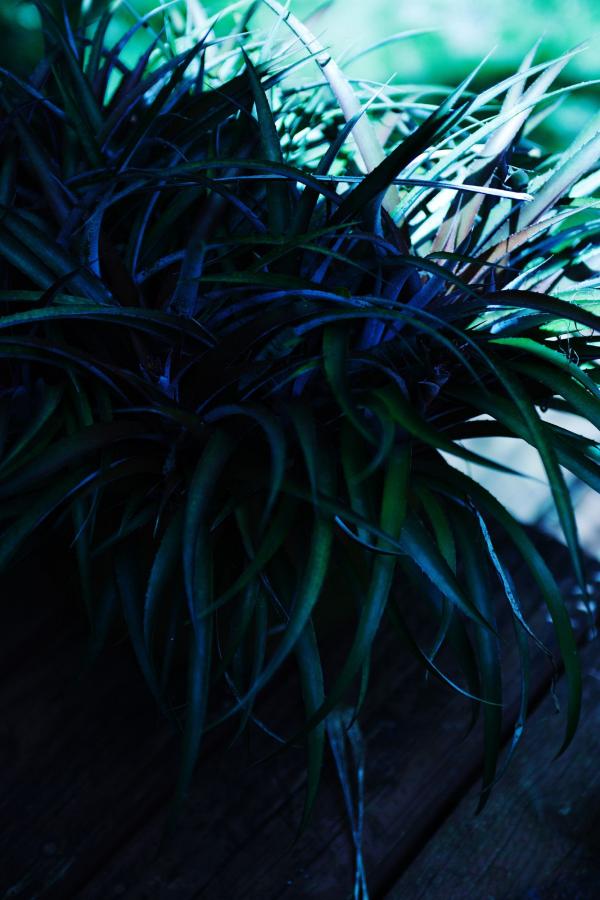 美女为火直播抠屁眼-高清BD高清完整电影