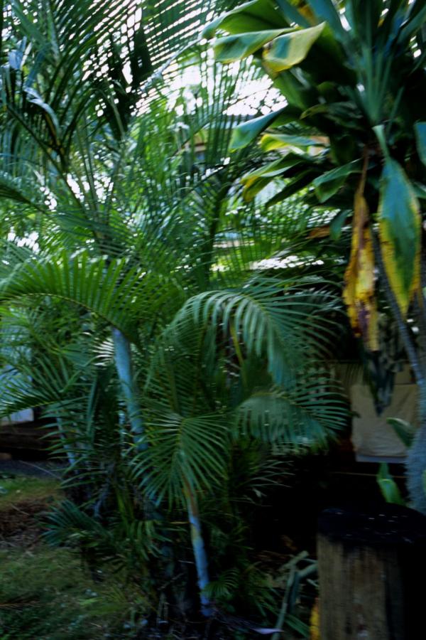 无码高清频道-色爱天堂色婷婷亚洲-亚洲第一第二无码-QHD完整视频大全