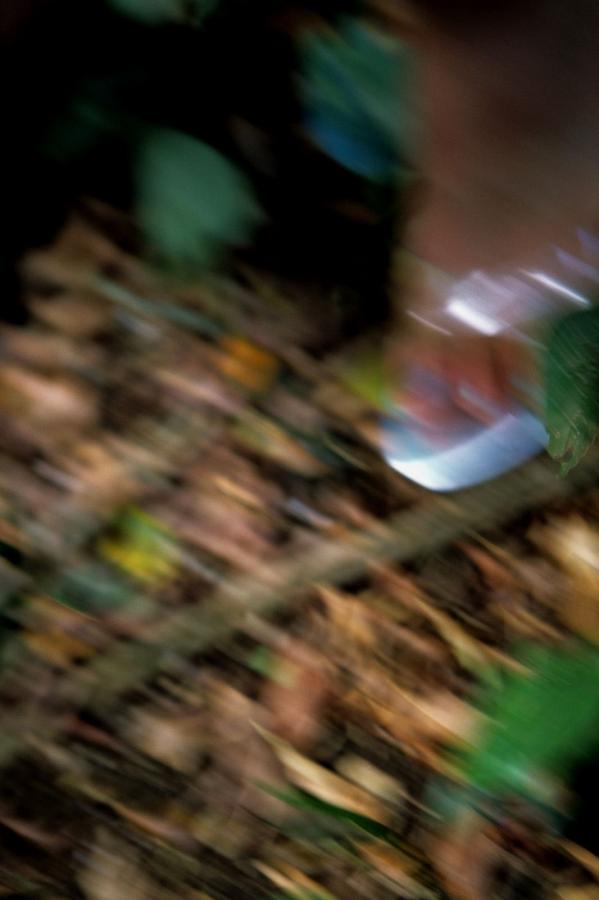 日本乱子伦XXXX-国产人成高清在线视频99最全资源-色01网国产高清午夜视频-8K国语版在线观看免费