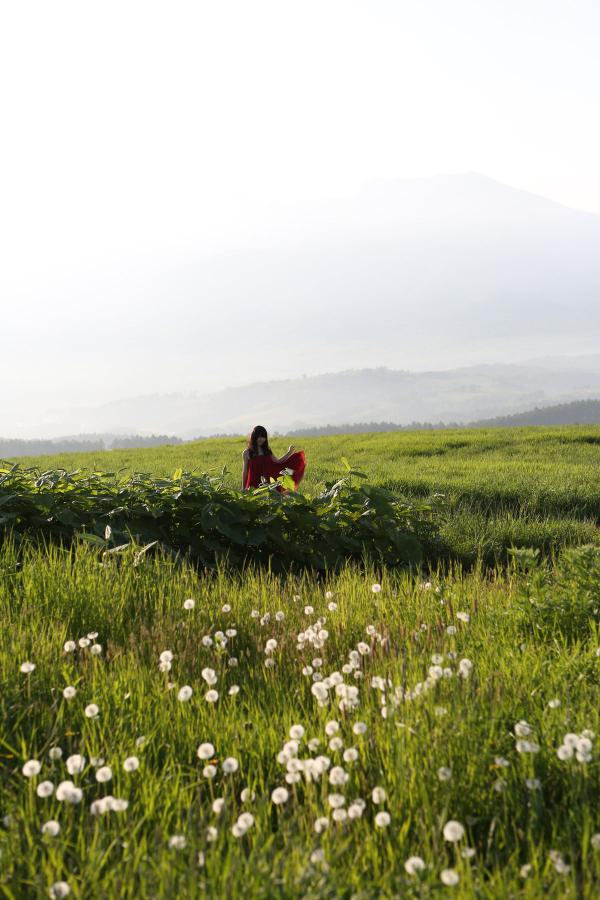 精品一区狼人国产在线-标清神马在线观看